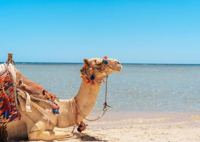 Safari Nubian 4*